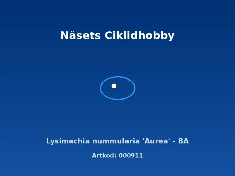 Näsets Ciklidhobby Lysimachia nummularia Aurea akvarieväxt BA