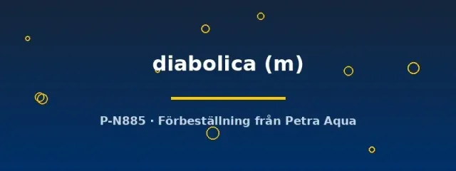 Näsets Barbucca diabolica M akvariefisk stim 10-pack