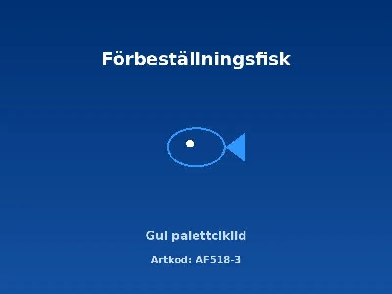 Näsets Ciklidhobby gul palettciklid ciklid 6–7 cm