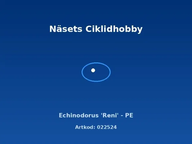 Näsets Ciklidhobby Echinodorus Reni akvarieväxt PE rödbladig