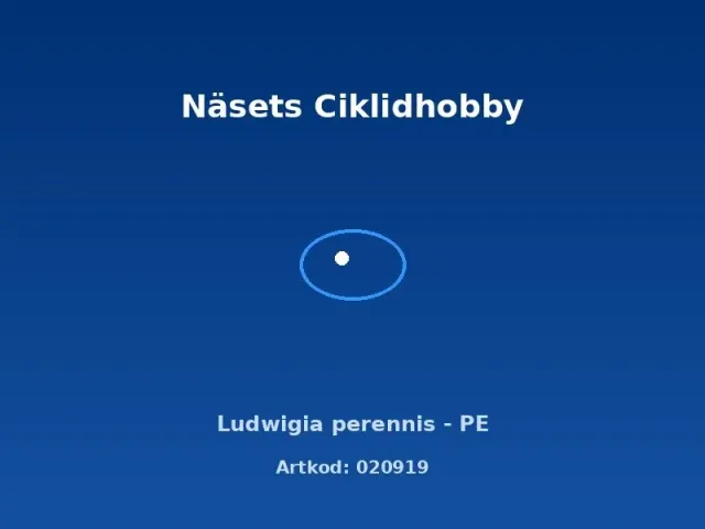 Näsets Ciklidhobby Ludwigia perennis akvarieväxt PE