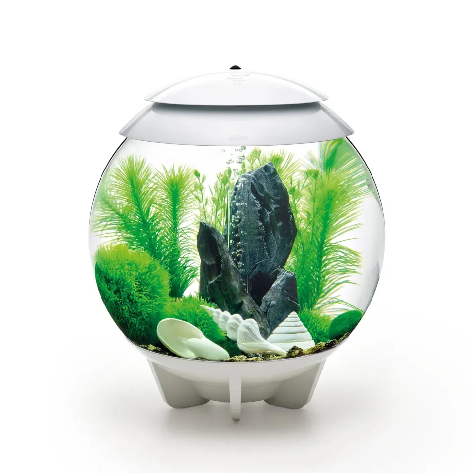 biOrb HALO 30 akvarium Stone Garden 30 liter