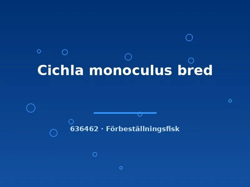 Näsets Ciklidhobby Cichla monoculus akvariefisk 4-6 cm förbeställning