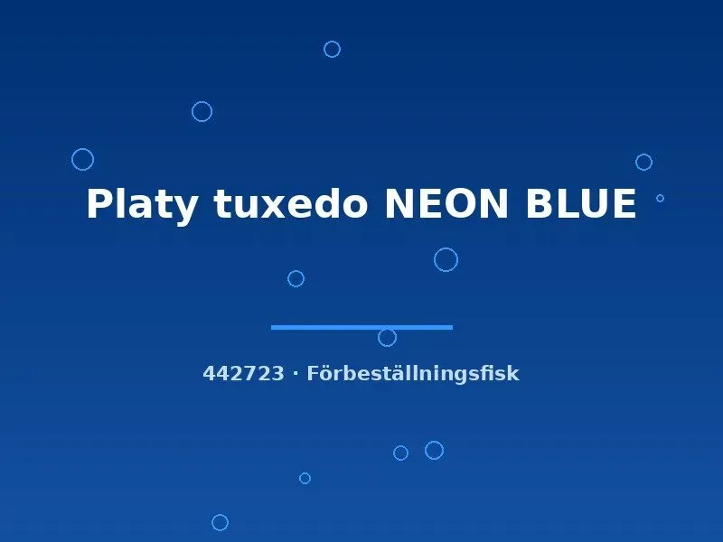 Näsets Ciklidhobby Platy Tuxedo Neon Blue akvariefisk lg tålig