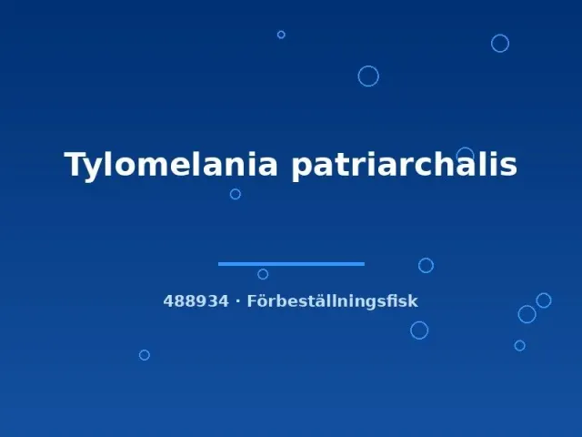 Näsets Ciklidhobby Tylomelania patriarchalis snäcka 4–6 cm sötvatten
