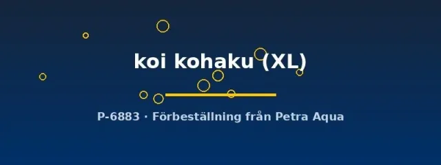 Näsets Ciklidhobby Svärdbärare Koi Kohaku XL akvariefisk