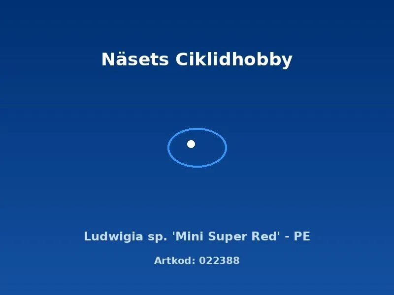 Näsets Ciklidhobby Ludwigia Mini Super Red akvarieväxt PE röd