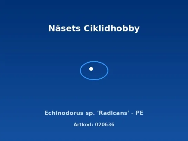 Echinodorus Radicans svärdsplanta akvarieväxt PE