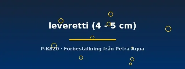 Beaufortia leveretti algätare 4–5 cm