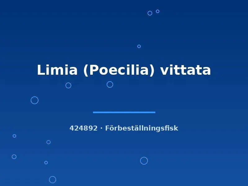 Limia vittata levandefödare md storlek hårdvatten