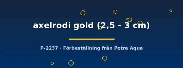 Näsets Ciklidhobby Cheirodon axelrodi gold 2,5–3 cm tetra
