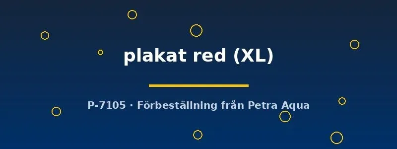 Näsets Ciklidhobby Betta spl. plakat red kampfisk hane XL