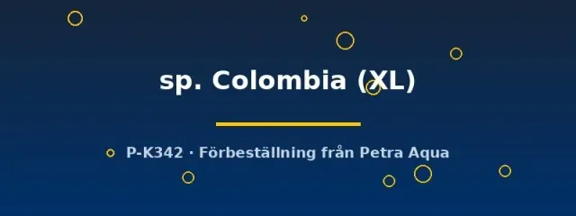 Ancistrus Colombia algmal XL