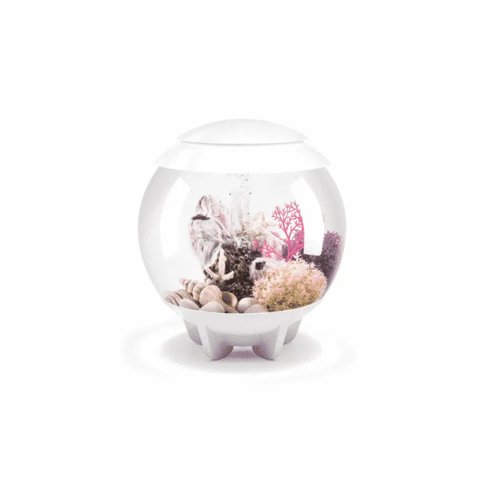 biOrb HALO 15 MCR akvarium 15 liter vit flerfärg