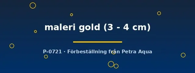 Näsets Ciklidhobby Maleri gold påfågelciklid 3–4 cm guld