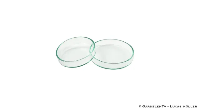 Garnelen TV matskål glas räkor liten 5 cm
