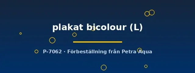 Näsets Ciklidhobby Betta Plakat Bicolour kampfisk L hane
