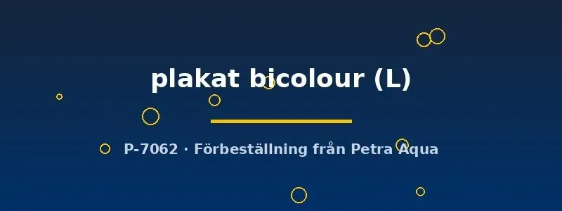 Näsets Ciklidhobby Betta Plakat Bicolour kampfisk L hane