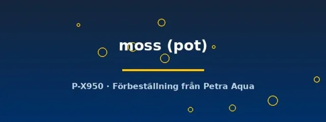 Näsets Ciklidhobby Cameroon Moss akvarieväxt pot