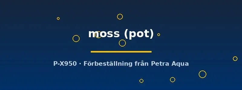 Näsets Ciklidhobby Cameroon Moss akvarieväxt pot
