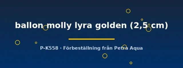 Näsets Ciklidhobby Poecilia Ballon Lyra Golden molly 2,5 cm