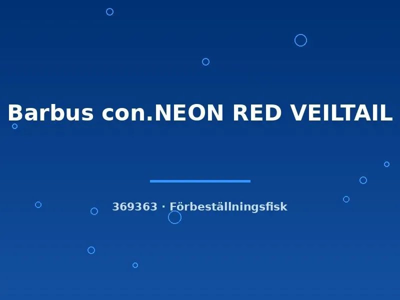 Näsets Ciklidhobby Barbus con. Neon Red Veiltail akvariefisk lg