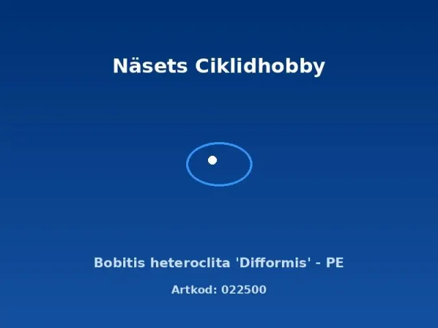Näsets Ciklidhobby Bolbitis Difformis akvarieväxt PE