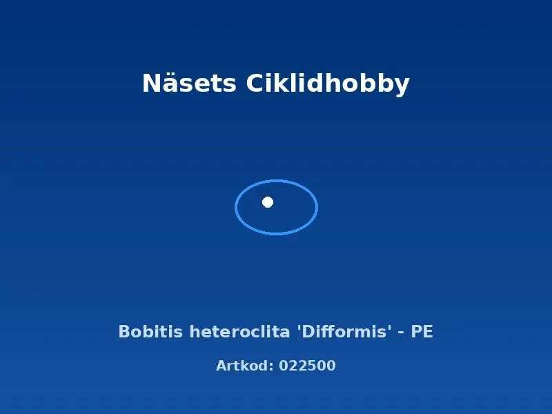 Näsets Ciklidhobby Bolbitis Difformis akvarieväxt PE
