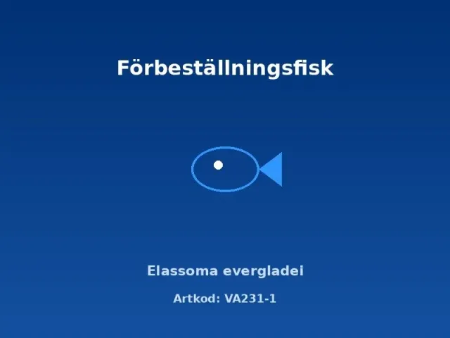 Näsets Ciklidhobby Elassoma evergladei akvariefisk 1,5–2 cm förbeställd