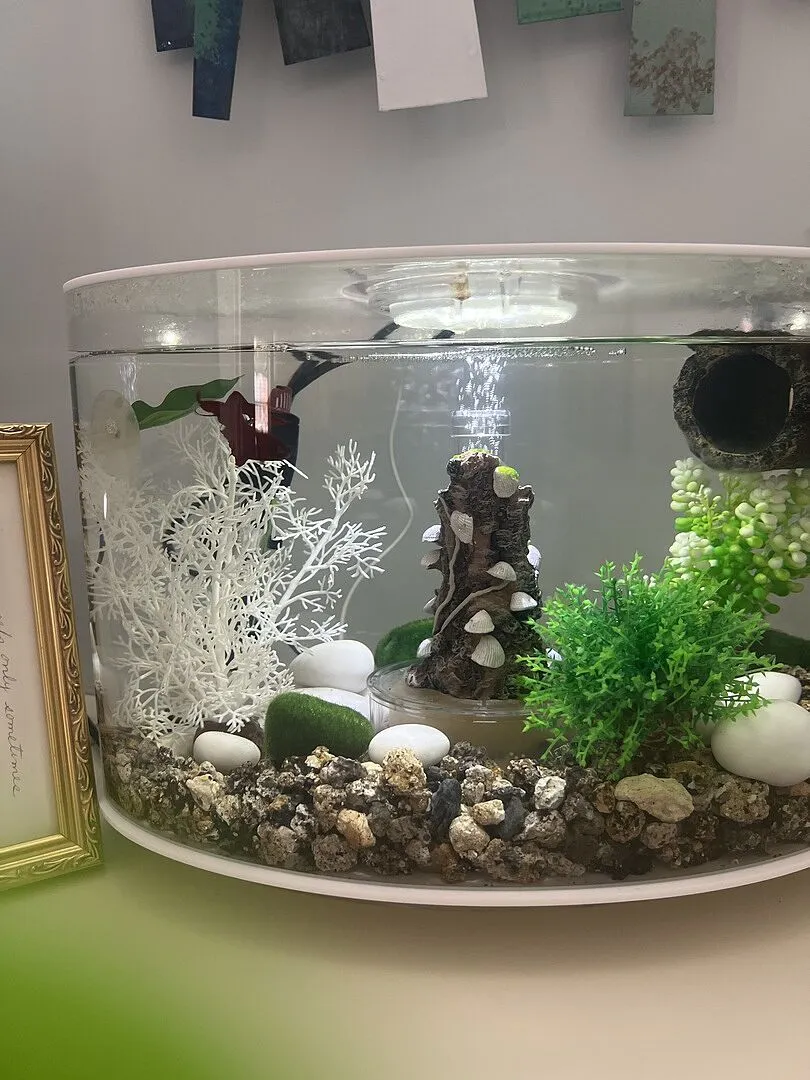 biOrb Loop 15 akvarium 15 liter med MCR-belysning