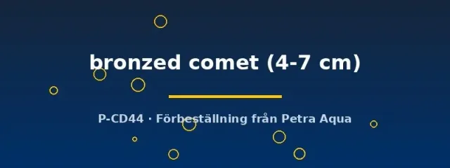 Näsets Ciklidhobby Carassius auratus bronzed comet guldfisk 4–7 cm