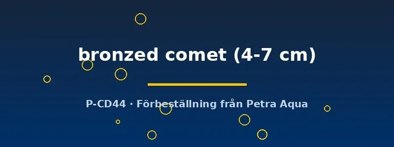 Näsets Ciklidhobby Carassius auratus bronzed comet guldfisk 4–7 cm
