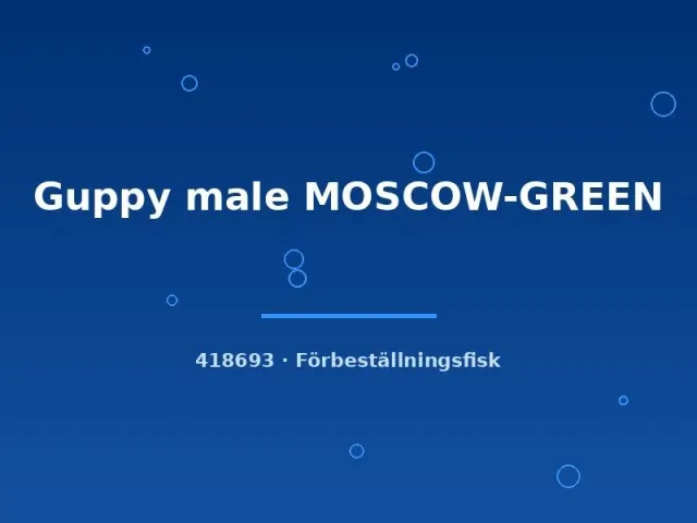 Näsets Ciklidhobby Guppy Moscow Green hane lg
