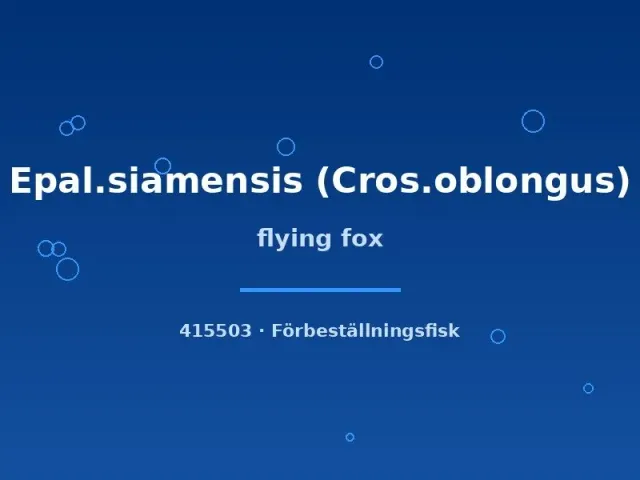 Näsets Ciklidhobby Flying Fox algätare 4 cm