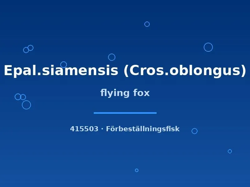 Näsets Ciklidhobby Flying Fox algätare 4 cm