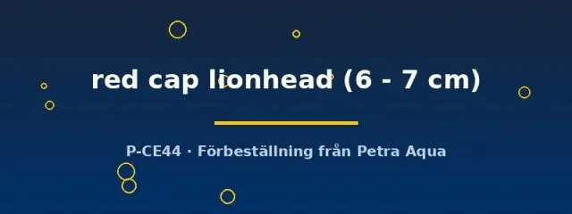 Näsets Red Cap lionhead guldfisk 6–7 cm kallvatten