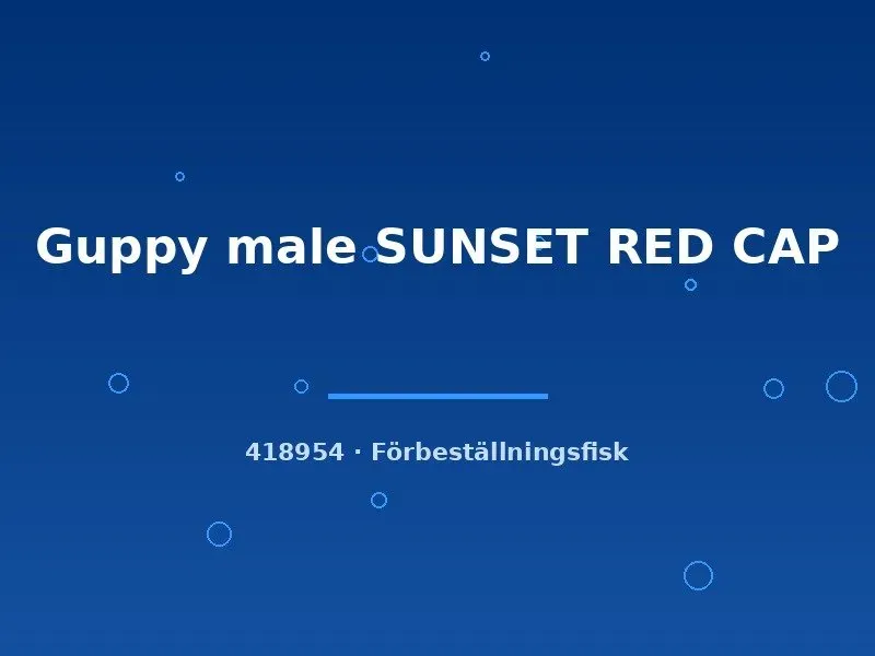 Näsets Ciklidhobby Sunset Red Cap guppyhanne lg