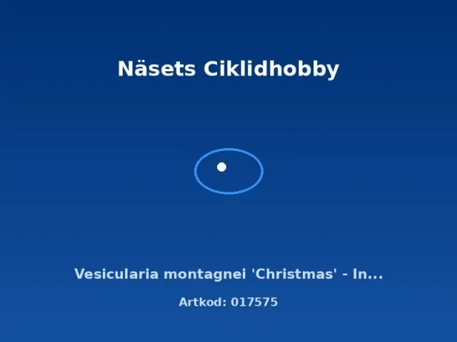 Näsets Ciklidhobby Vesicularia Christmas mossa in vitro-kopp