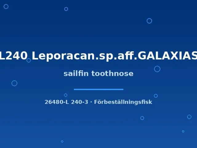 Näsets Ciklidhobby L240 Sailfin Toothnose L-mal 7–10 cm