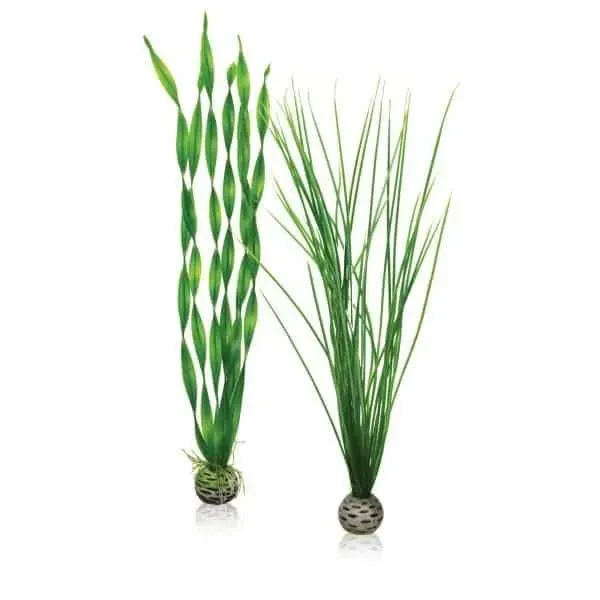 biOrb Easy plant set L plastväxt grön sötvatten