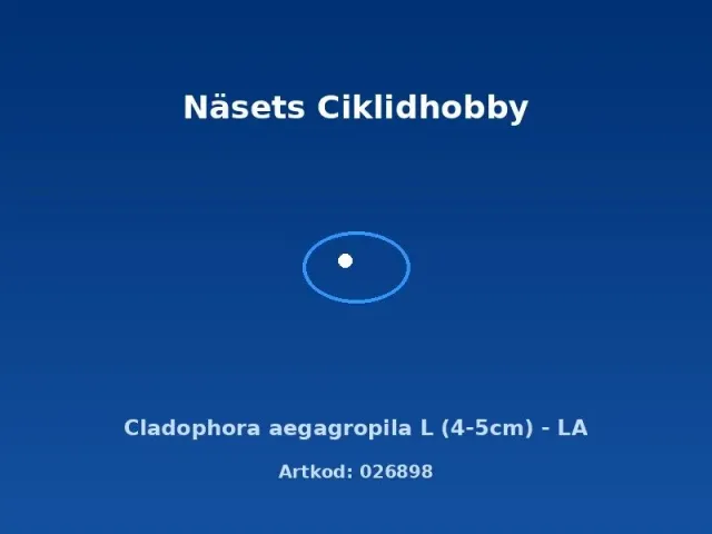 Näsets Ciklidhobby Cladophora aegagropila mossboll L 4–5 cm