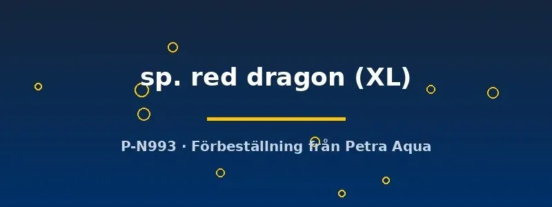 Näsets Ciklidhobby Aulonocara red dragon ciklid XL