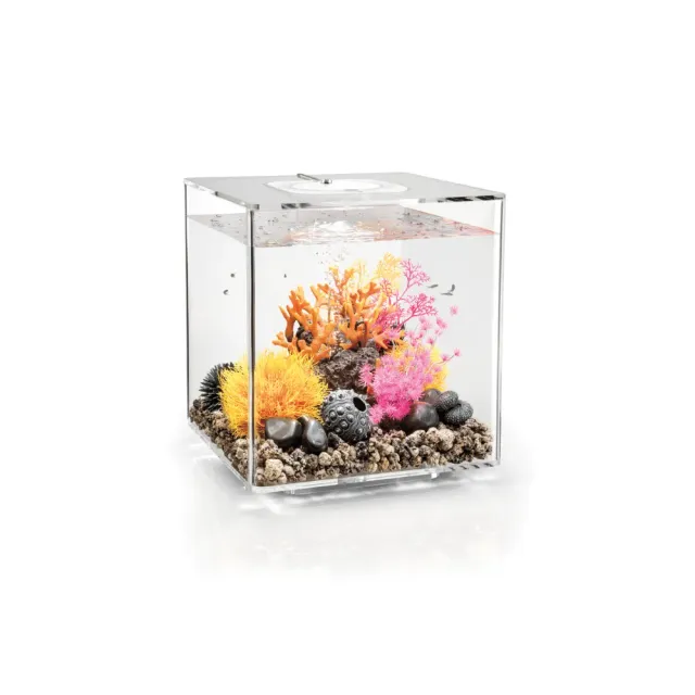biOrb CUBE 30 MCR akvarium transparent 30 liter