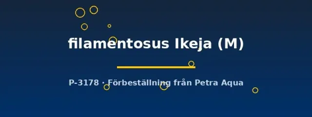 Petra-Aqua Fundulopanchax filamentosus Ikeja killifisk M