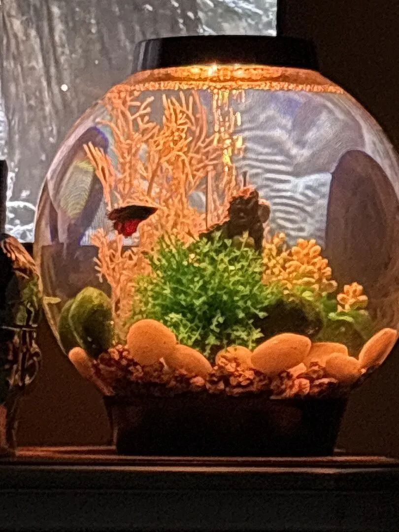 biOrb Fairy Tale dekorset för 15 liter
