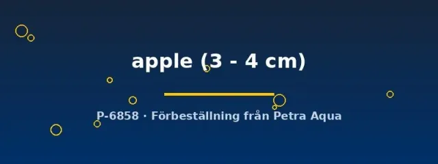 Näsets Ciklidhobby Platy apple 3-4 cm levandefödare