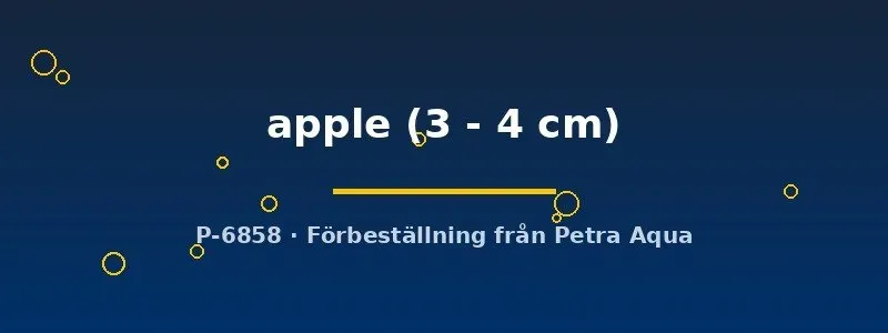 Näsets Ciklidhobby Platy apple 3-4 cm levandefödare