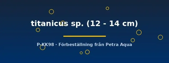 Pseudoacanthicus L273 titanicus mal 12–14 cm