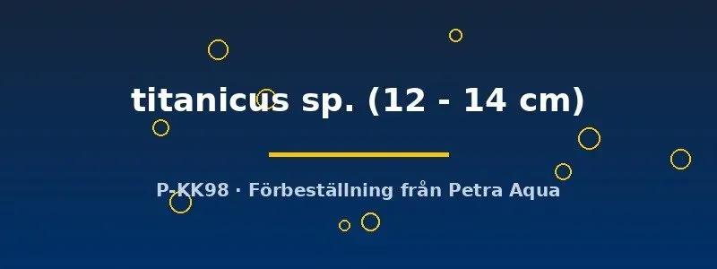 Pseudoacanthicus L273 titanicus mal 12–14 cm