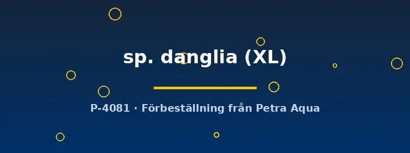 Näsets Ciklidhobby Devario danglia XL stimfisk livlig danio